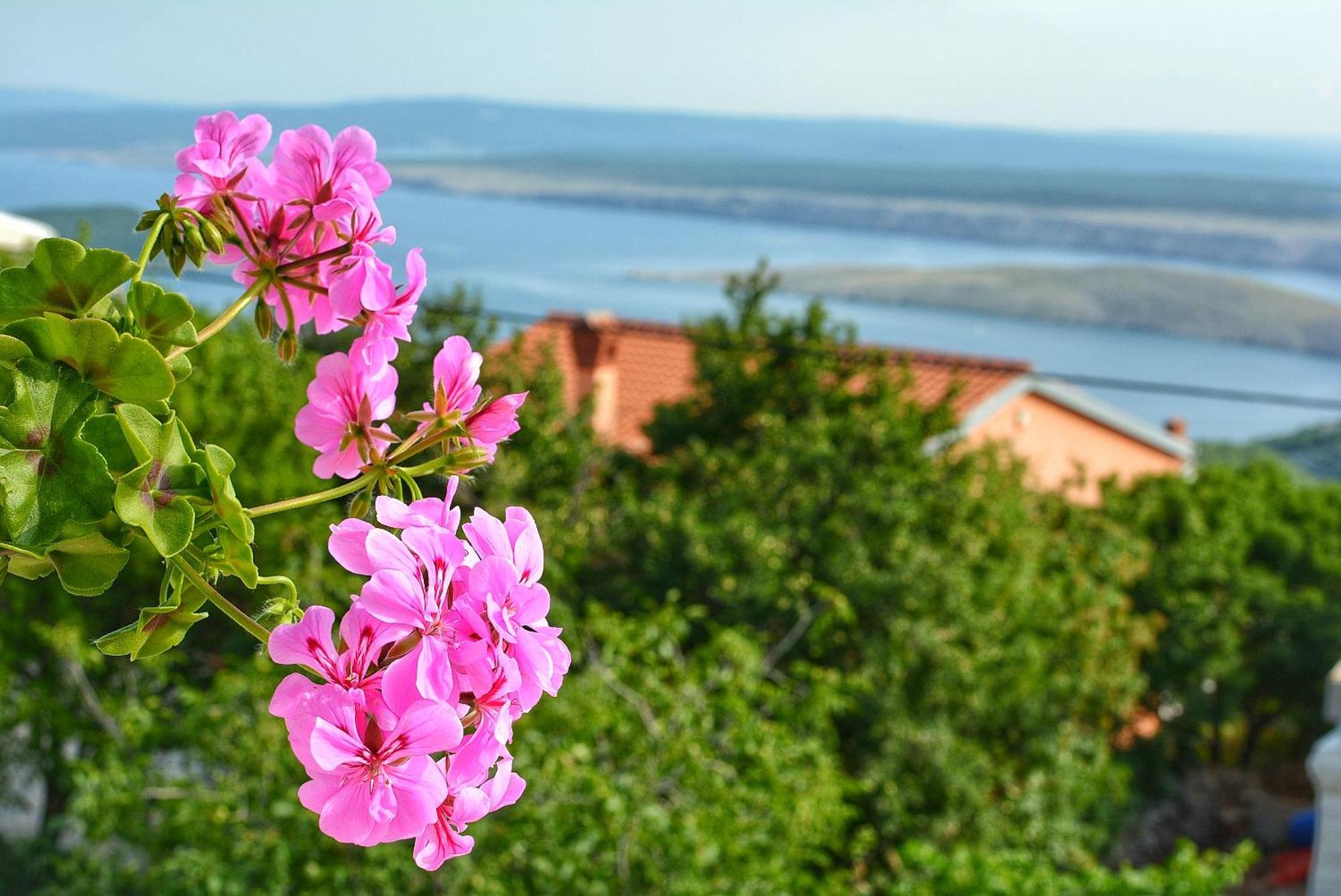 Kantun Šmrika Esterno foto